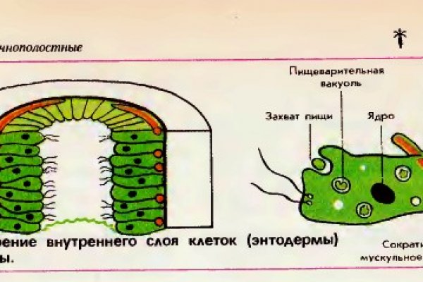 Кракен что там продают